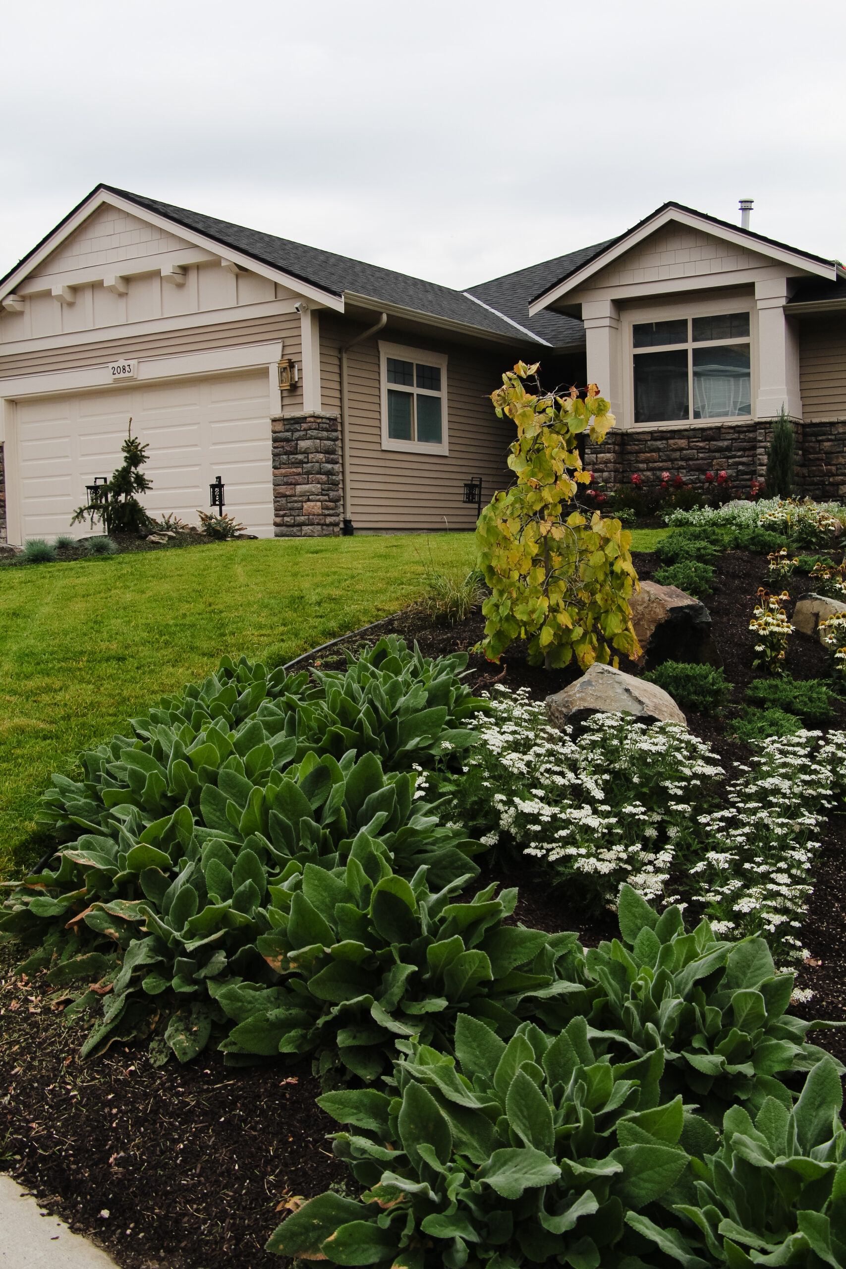 exterior update landscaping and fresh paint on a 2000s home