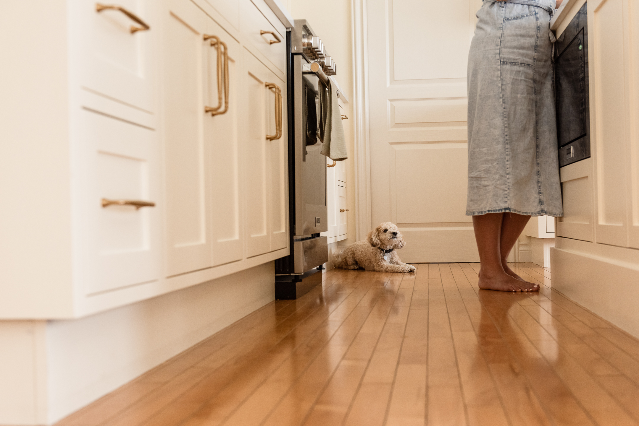 Dog watching family baking together in kitchen