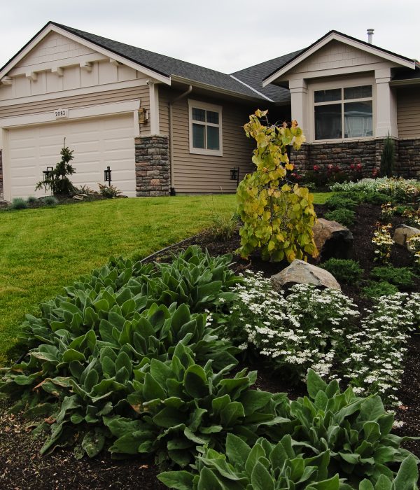 Craftsman house exterior with lush landscaping