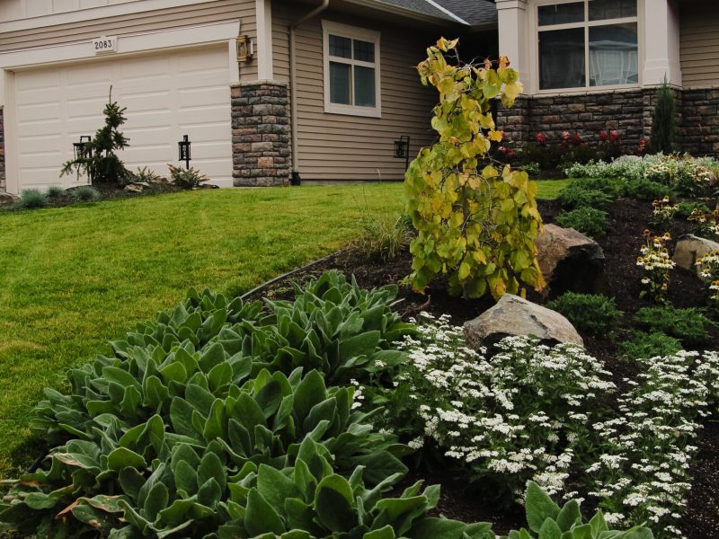 exterior update landscaping and fresh paint on a 2000s home