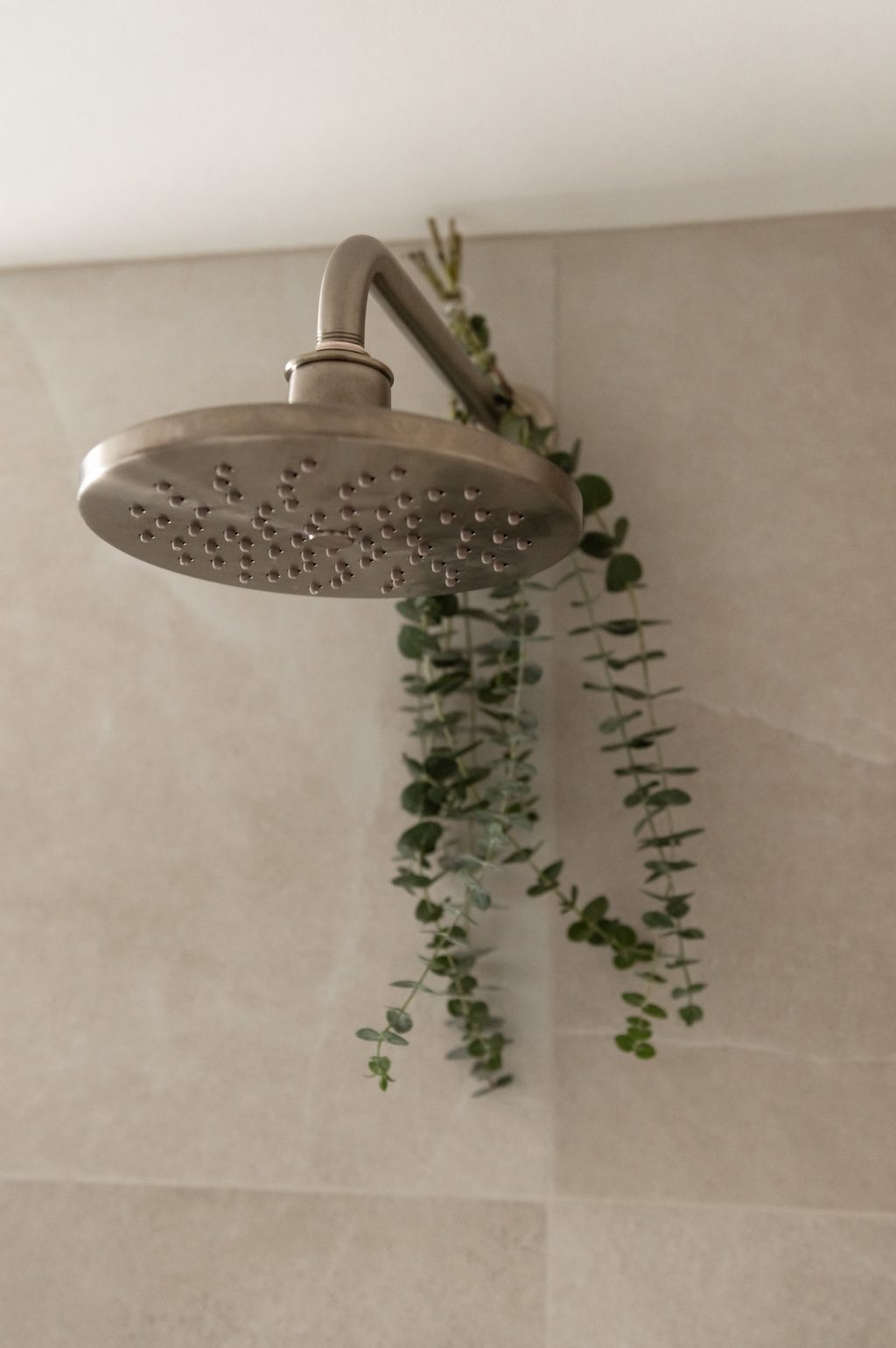 rainfall shower head brushed nickel with fresh eucalyptus